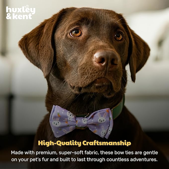 Huxley & Kent Pet Bow Tie for Dogs & Cats - Spring Easter Adjustable Hook & Loop Collar Accessory - Cute & Comfortable for Holidays & Celebrations - Funny Bunny, Small