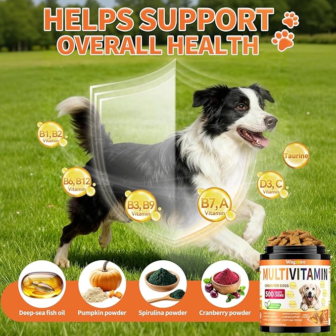 Dog Vitamins- 16-in-1 Dog Vitamins and Supplements, 500 Ct Multivitamin Supports Daily Energy, Heart Health, Skin & Coat, with Taurine, Omega-3, Puppy Multivitamin Chewable - for All Breeds & Ages