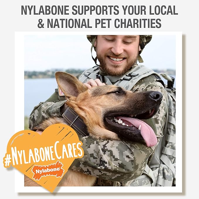 Nylabone Comfort Hold X-Bone Power Chew Toy for Dogs, Dog Toys for Aggressive Chewers, Beef Flavor, Small - Up to 25 lbs, 1 Count