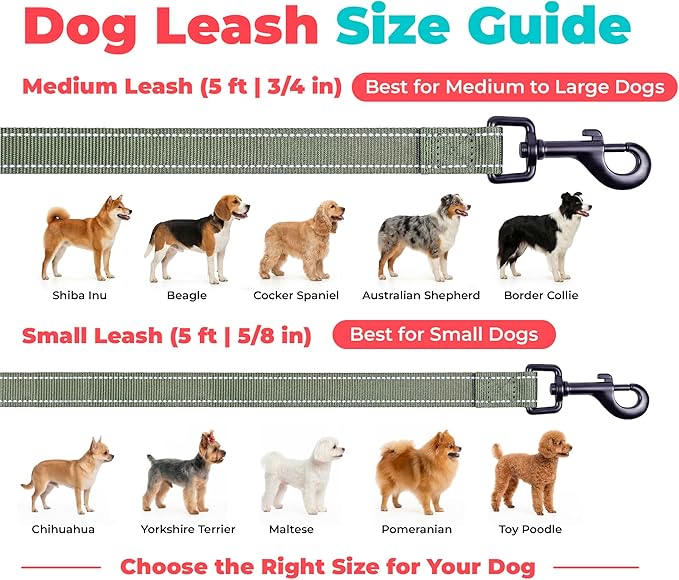 Best Pet Supplies Voyager Reflective Dog Leash or Collar with Neoprene Handle, for Small, Medium, and Large Breed Puppies, Cute and Heavy Duty for Walking, Running and Training - Moss Green (Leash), M