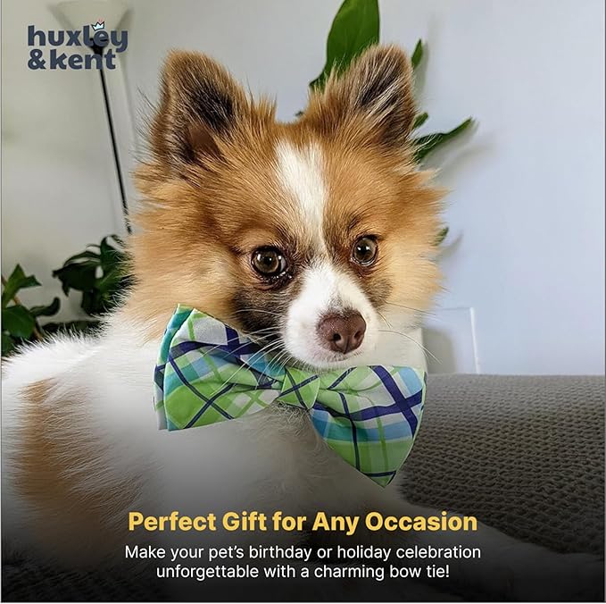 Huxley & Kent Pet Bow Tie for Dogs & Cats - Adjustable Hook & Loop Collar Accessory - Cute & Comfortable for Holidays & Celebrations - Lime Madras, Extra-Large