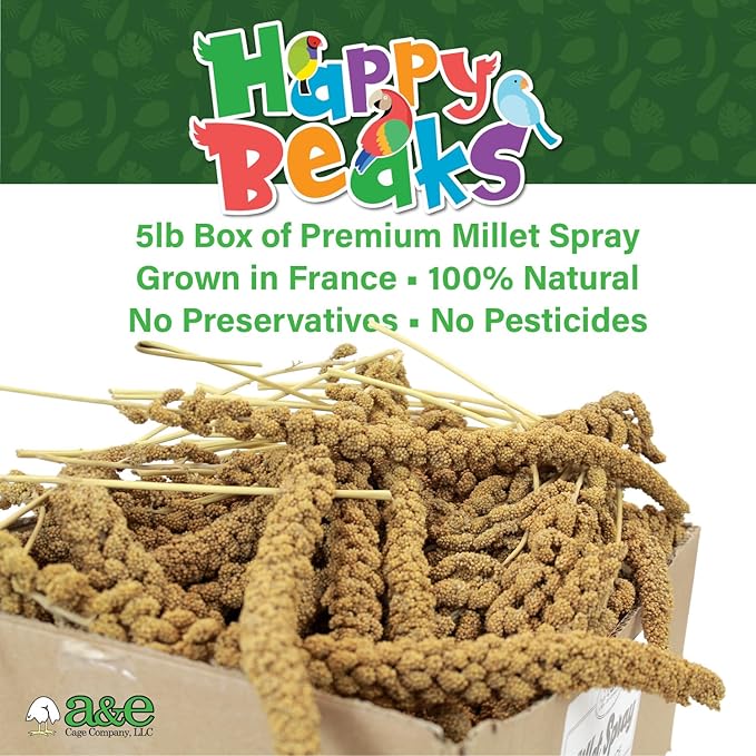 A&E Cage Co AE9055 Premium French Millet Spray - 5lb Bulk Box Natural Spray Millet for Birds - Healthy Bird Treat for Parakeets, Budgies, Cockatiels, Finches & Small Birds