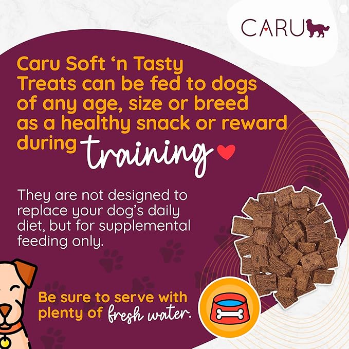 Caru Soft n' Tasty Baked Bites Salmon Bites Dog Treats for Training - Real Meat with Blueberries & Cranberries - 4 oz Bags - Pack of 3