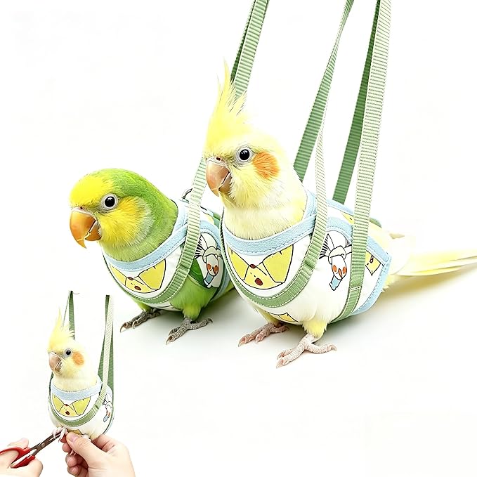 Portable Bird Tote Bags, Small and Medium-Sized Parrot Escape Resistant Tote Bags, Safety Belts, Scratch Resistant Protective Clothing for Daily Outdoor Activities and Nail Trimming (Large Size)