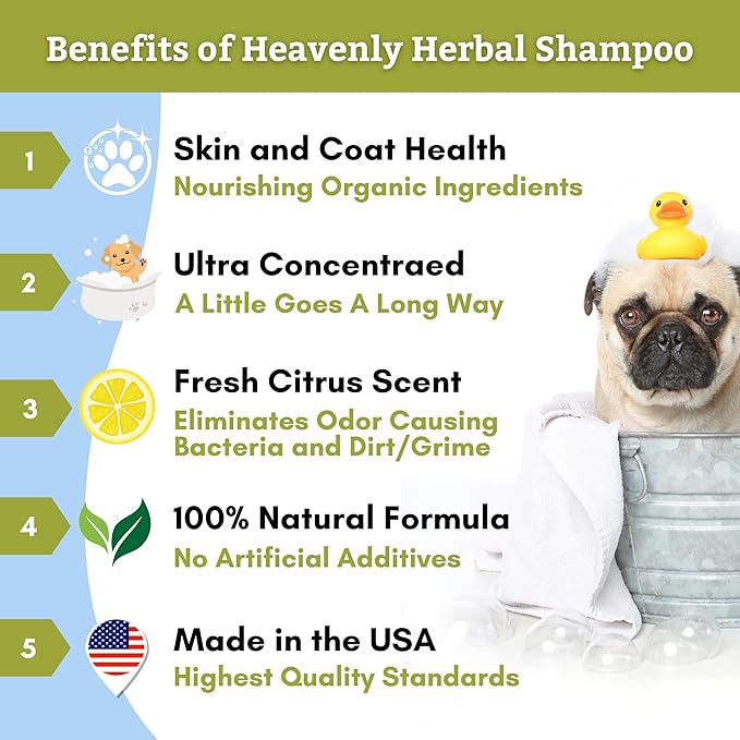 Wholistic Pet Organics Pet Shampoo Concentrate: Heavenly Herbal Organic Dog Shampoo and Conditioner - All Natural Puppy and Cat Shampoo for Dry, Itchy Skin, Allergies, Dandruff (8.00, Ounces)