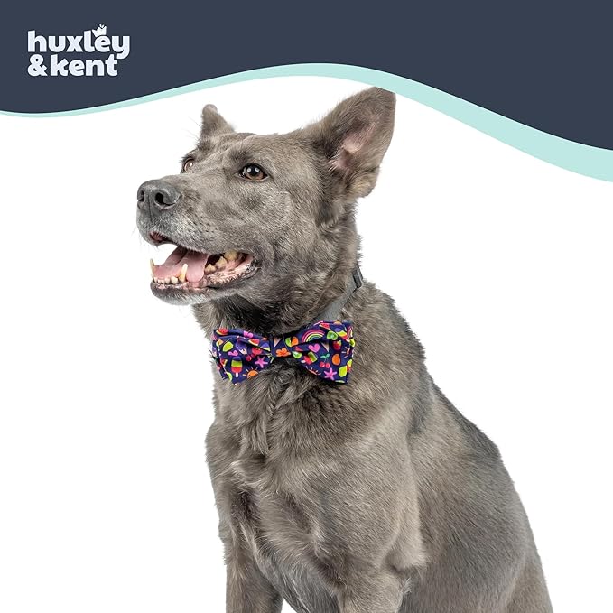 Huxley & Kent Pet Bow Tie for Dogs & Cats - Summer Theme Adjustable Hook & Loop Collar Accessory - Cute & Comfortable for Holidays & Celebrations - Summer Icons, Large