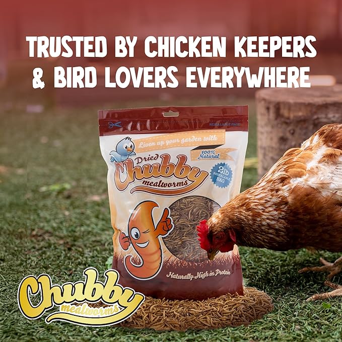 Chubby Dried Mealworms High-Protein Non-GMO Treats for Chickens, Ducks, Wild Birds & Backyard Pets