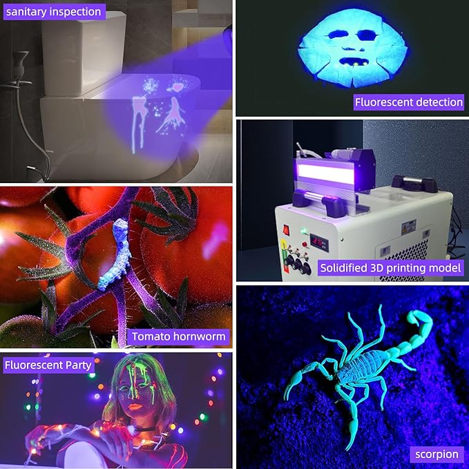 DARKBEAM Flashlight UV 395nm Black Light, Mini & Powerful Wood’s Lamp USB -C LED Rechargeable Blacklight, 10W Portable Pet Dog Urine Detector - Resin Curing, Fluorescent, Scorpion Detection