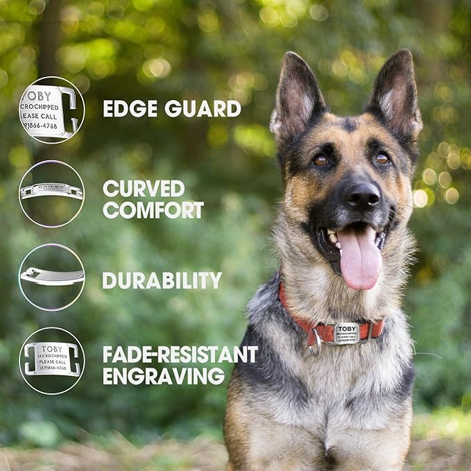 Deep Laser Custom Font Engraved Slide - No Noise Collar Tags, PVD Rose Gold Stainless Steel, 3 Lines of Personalized Text - Pet ID Name Tags for Dogs & Cats - Extra Small