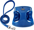BOOMIBOO Dog Harness with Leash Set, No Pull Adjustable Reflective Step-in Puppy Pet Vest Harnesses for Small Medium Large Dogs and Cats,Blue L