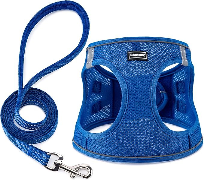 BOOMIBOO Dog Harness with Leash Set, No Pull Adjustable Reflective Step-in Puppy Pet Vest Harnesses for Small Medium Large Dogs and Cats,Blue L