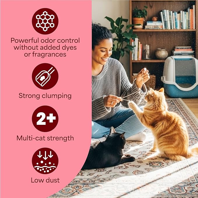 Fresh Step Clumping Cat Litter, Advanced, Simply Unscented, Extra Large, 37 Pounds total (2 Pack of 18.5lb Boxes) (Package May Vary)