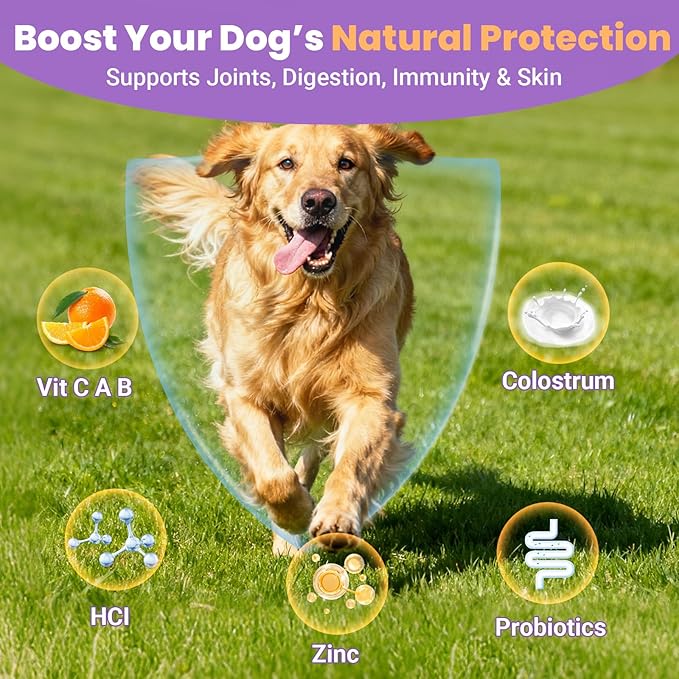 Dog Multivitamin 25 in 1 Dogs Vitamins Supplements Treats Chewable for Pet Omega-3 Glucosamine Vitamin for Puppy Supplies Skin Coat, Heart, Hips & Joints, Digestion & Immune System 100pcs