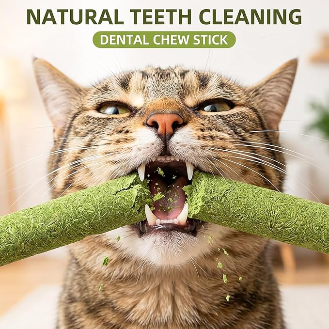Cat Toys 12Pack Cats Grass Treat Catnip Toy with Silvervine for Indoor Kitten Toys Wood Kitty Chew Rope Grass Sticks for Teeth Cleaning Kitten Snack for Catnip Dental Care Self Play
