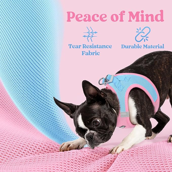 rabbitgoo Small Dog Harness, Step-in Soft Mesh Puppy Vest with Safety Buckle, Breathable Reflective Pet Harness for Extra Small Dogs, Blue & Light Pink XXS