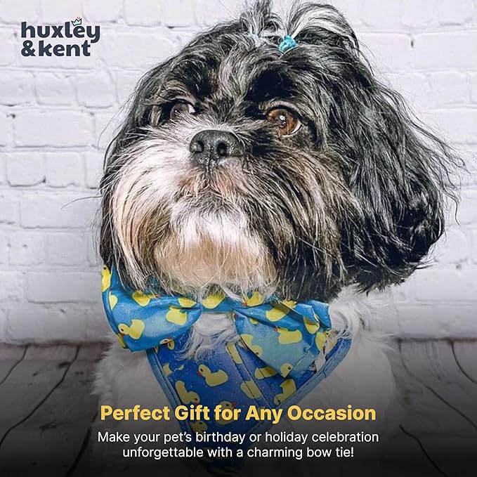 Huxley & Kent Pet Bow Tie for Dogs & Cats - Adjustable Hook & Loop Collar Accessory - Cute & Comfortable for Holidays & Celebrations - Lucky Ducky, Large