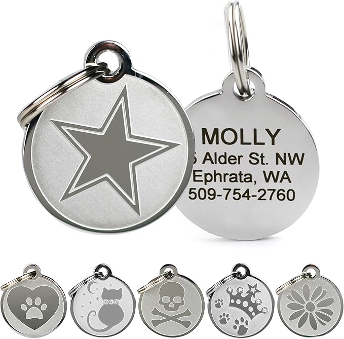 GoTags Playful, Custom Engraved Pet ID Tags, Solid Stainless Steel, Personalized Dog and Cat Pet ID with up to 4 Lines of Text, Cute, Durable and Long-Lasting