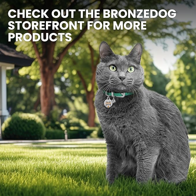 BRONZEDOG Leather Cat Collar with Removable Bells Non Breakaway Kitten QR Tag for Girl Boy (7" - 9" for Cats, Turquoise & Silver)