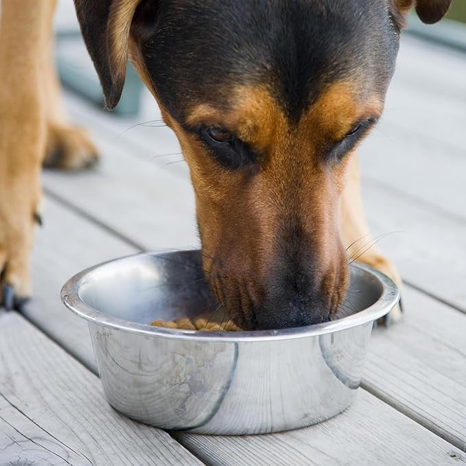 Stainless Steel Dog Bowl 2-Pack Metal Food and Water Dish (10" inch Outer Diameter) Pet Feeder Replacement Bowls Dishwasher Safe, Easy to Clean (10 Cups)