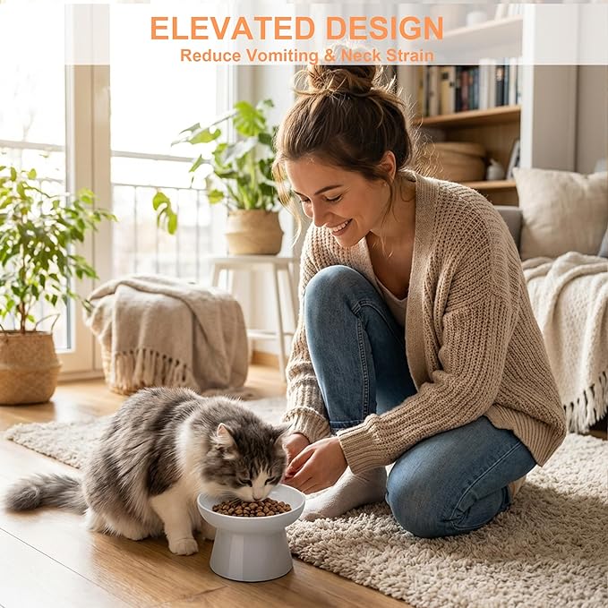 Ceramic Raised Cat Bowl, Elevated Cat Food Bowl with Non-Slip Base,Whisker Friendly Shallow Feeder for Dry & Wet Food, Dishwasher Safe, Anti Vomiting (Grey)