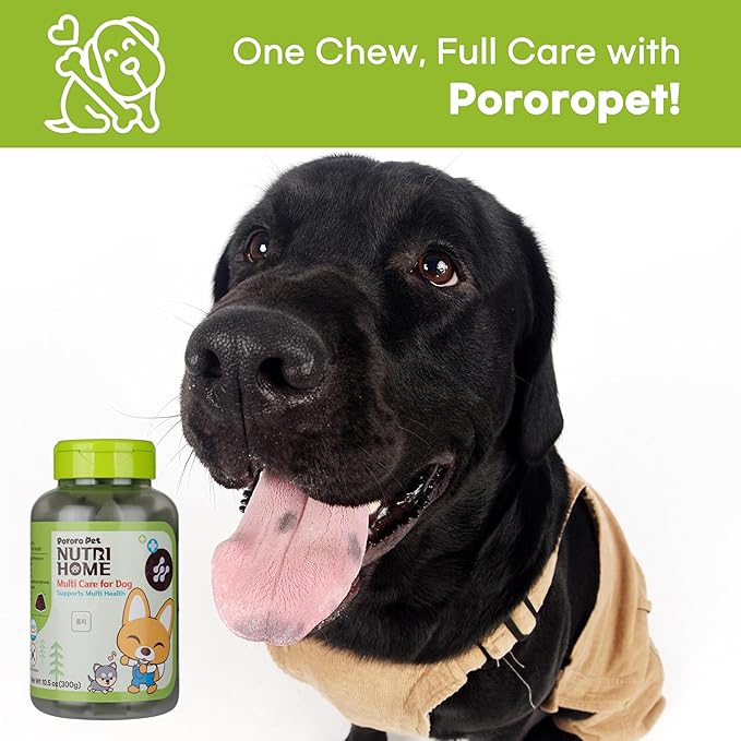 [PororoPet] NutriHome Multi Care for Dogs | Supports Joint, Eye, Liver & Daily Wellness | Milk Thistle, Curcumin, Green Lipped Mussel | 10.58oz (300g), Made in Korea