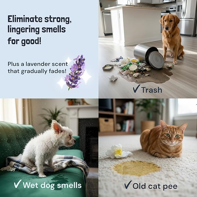 Sunny & Honey Pet Stain & Odor Miracle - Fast Acting Carpet Stain Remover & Urine Odor Eliminator - Enzyme Upholstery Cleaner Spray - For Upholstery, Couch & Mattress (32 fl oz, Light Lavender)
