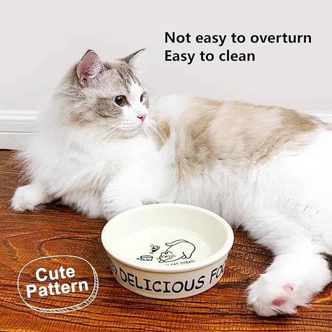 TTcat Ceramic Cat Feeder, 5.1in Shallow Design Food Bowl, Small Pet Dishes for Cats, Kitten, Dishwasher Safe