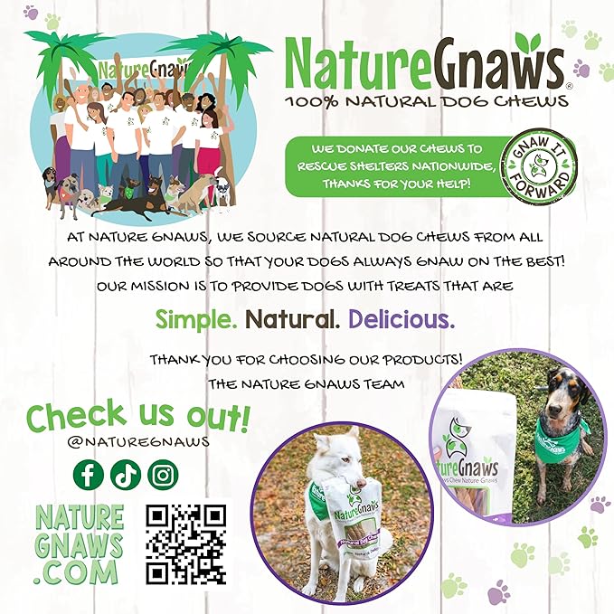 Nature Gnaws Extra Large Bully Sticks for Dogs 5-6" (6 Count) - Thick Long Lasting for Aggressive Chewers and Heavy Chewers - Natural Beef Dog Chew Bones
