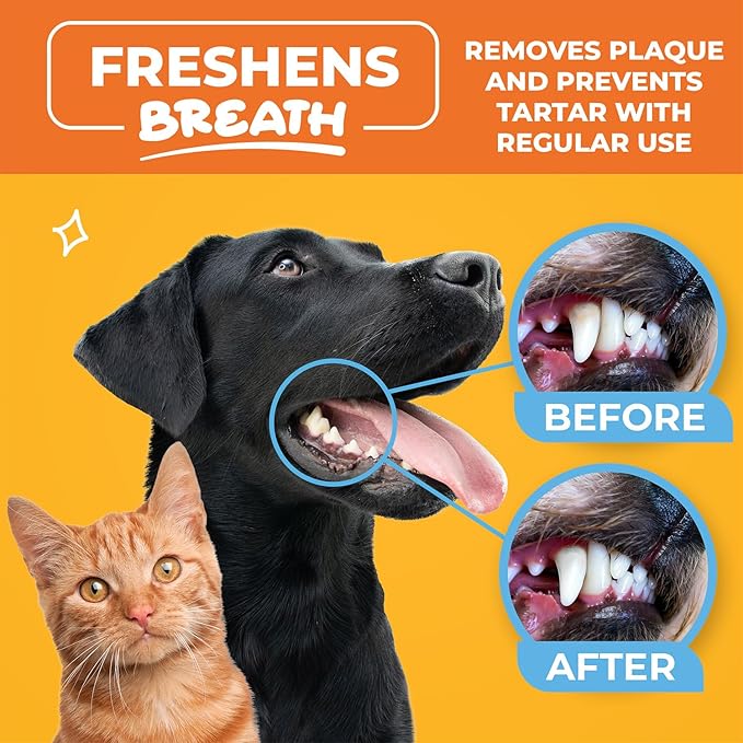 Paw Science Dog & Cat Teeth Cleaning Wipes - Dental Finger Wipes for Cats & Dogs - Pet Toothbrush & Tooth Brushing Kit - Effective Teeth Cleaner (Mint)