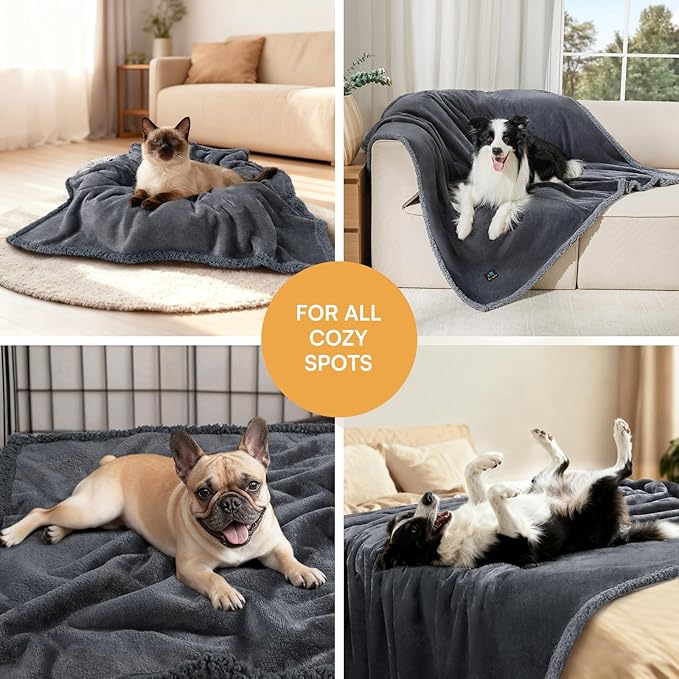 Waterproof Pet Blanket, Liquid Pee Proof Dog Blanket for Sofa Bed Couch, Reversible Sherpa Fleece Furniture Protector Cover for Small Medium Large Dogs Cats, Dark Gray Medium（57" x 40"）