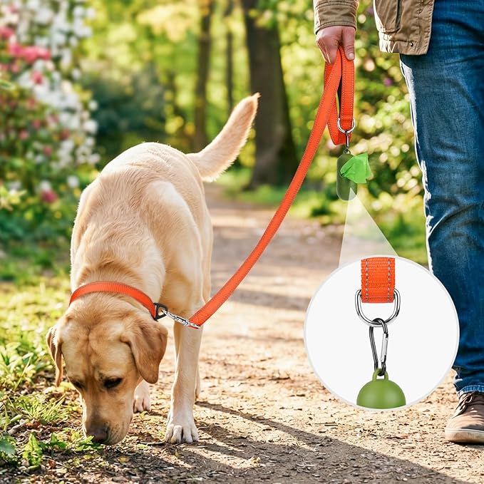 Joytale Dog Leash, 4 FT Double-Sided Reflective, Padded Handle Nylon Heavy Duty Leashes for Medium & Large Dogs Walking, Orange