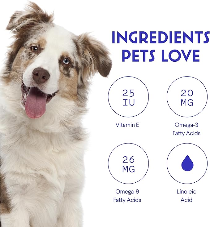 Wonder Paws Skin & Coat Supplement for Dogs with Salmon Oil, Omega 3 & 6, EPA & DHA, Promotes Healthy Skin and Coat, Itchy Relief, Joint and Overall Health, Delicious Flavor, 70 skin & coat Soft Chews