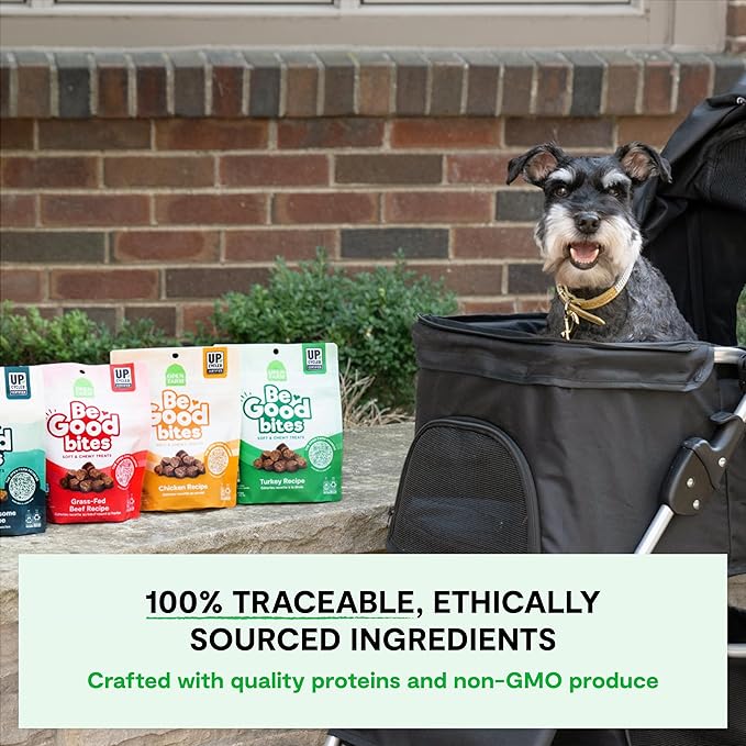 Open Farm, Be Good Bites, Soft Dog Training Treats, Small & Chewy, Made with Ethically & Sustainably Sourced Ingredients, Non-GMO Fruits & Grains, Wild-Caigh Salmon Recipe, 6oz Pouch