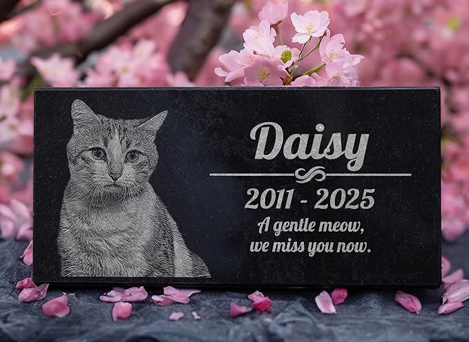 Cat Memorial Personalized Black Granite Stone 12 X 6 Bereavement in Memory Loss of Pet Cat Garden Stone
