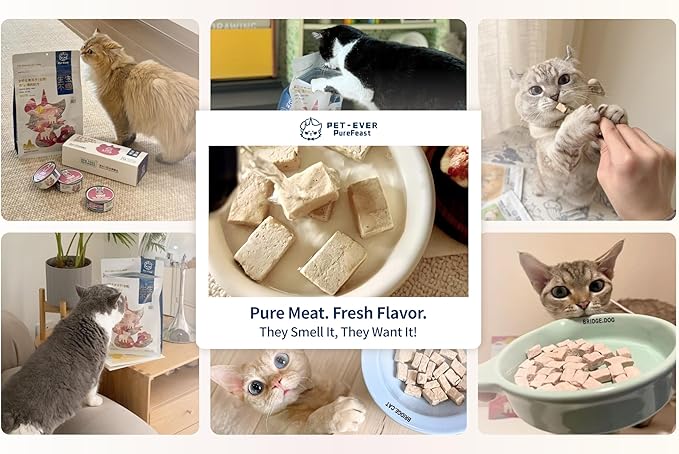 Freeze-Dried Cat Food, 97% Animal Origin Soft Dry Raw Food for Cats, High Protein Healthy Freeze Dried Cat Treat & Topper (Beef Recipe - 2.1 Ounce)