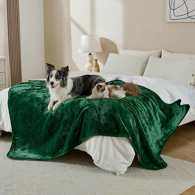 Waterproof Blanket for Bed Couch Sofa, Soft Liquid Pee Proof Pet Blanket for Dog Puppy Cat, Reversible Sherpa Fleece Furniture Protector (Green, 60x80 inches)