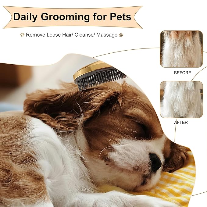 Gentle Grooming Puppy Brush with Gift Box ， Fit for Small Dog ， Yorkie, Shih Tzu, Maltipoo, Maltese and Pomeranian ，Toy Poodle Accessories, Soft Bristle (Rose Gold)