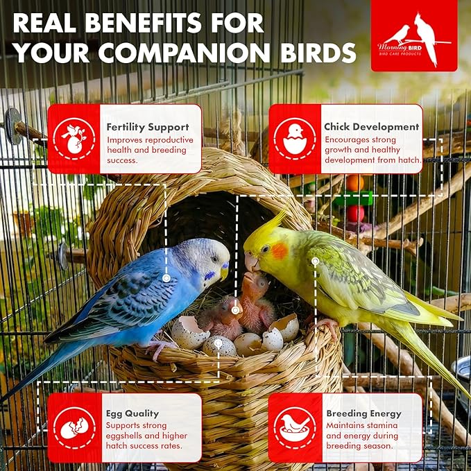 Morning Bird Breeders Blend 3 oz – Protein Supplement for Birds – Supports Breeding, Chick Growth, Muscle Development & Immune Health – Daily Vitamin Blend for Strong Bones & Overall Health