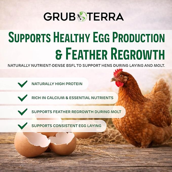 GrubTerra Black Soldier Fly Larvae for Chickens – Dried BSFL Poultry Treat, High Protein Calcium Feed Supplement for Laying Hens, Backyard Chickens, Sourced from Mexico, Not from China - 1LB