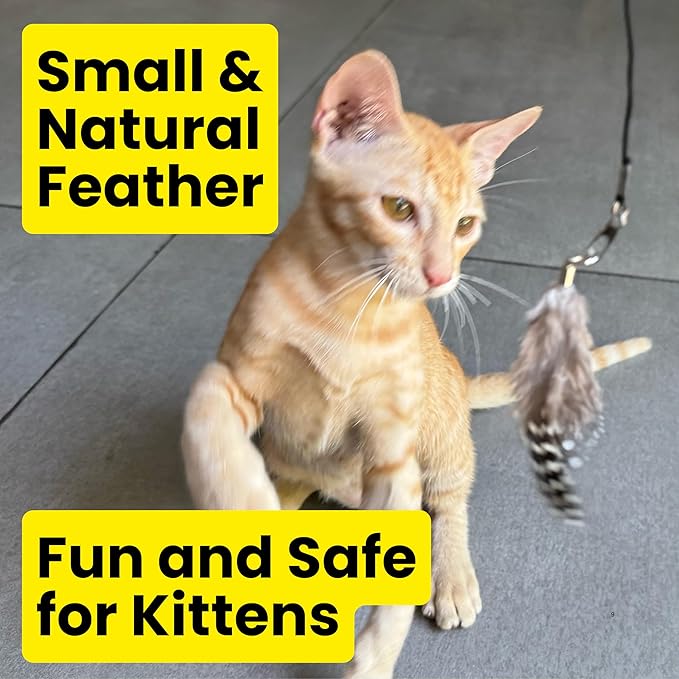 Feather Toys Replacements (9 Pc) - Cat Toys & Kitten Toys for Indoor Kittens, Set of Replacement Feather Attachments Extra Small and Durable, for Cat Wands, Natural and Safe