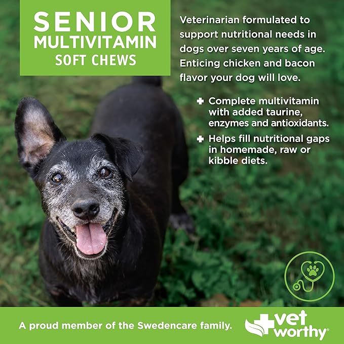 Vet Worthy Senior Multi Soft Chews - Daily Multivitamin for Dogs - Supports Longevity, Mobility & Vitality - Senior Dog Multivitamins Chewable for Skin and Coat Health - Multi Vitamins for Dogs -60 Ct