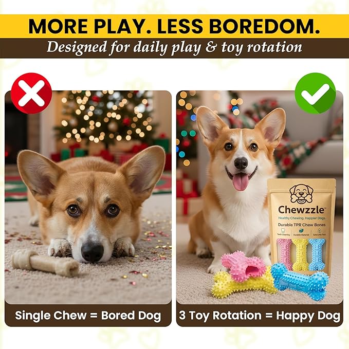 Chewzzle™ Dog Chew Toys for Small Dogs & Puppies | Soft TPR Textured Bones for Light to Moderate Chewers | 3-Pack Vibrant Colours, Safe & Engaging Design
