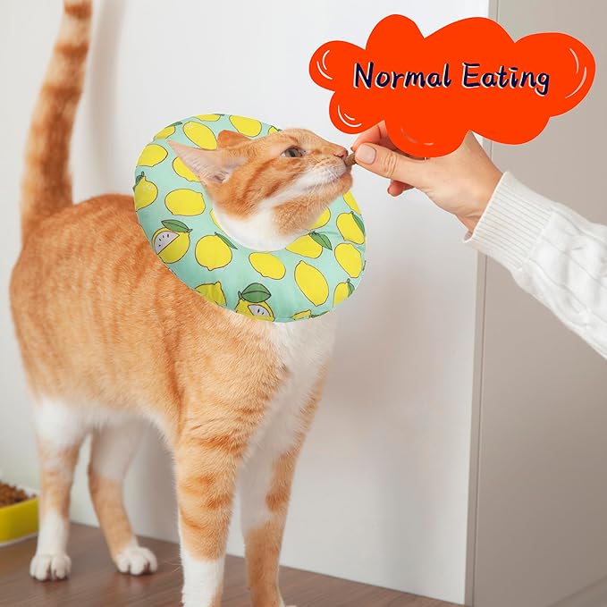 Seyezo Cat Cone Collar Soft, Adjustable Cat Recovery Collars to Prevent Licking, Cute Donut E Collar After Surgery, Wound Healing Elizabethan Collar for Kittens(Green Lemon, Large)