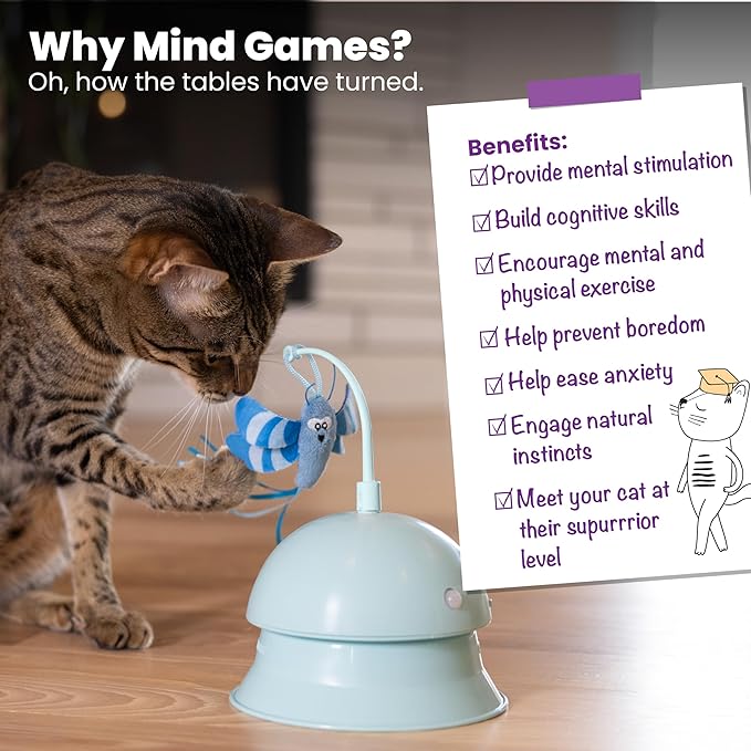 Catstages 2-in-1 Flutter Dome Electronic Cat Toy – Plush Motion Toy for Indoor Cats, Ball Track Add-On, Blue