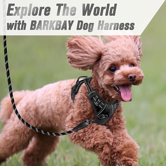 BARKBAY No Pull Dog Harness Front Clip Heavy Duty Reflective Easy Control Handle for Large Dog Walking(Black,XS)