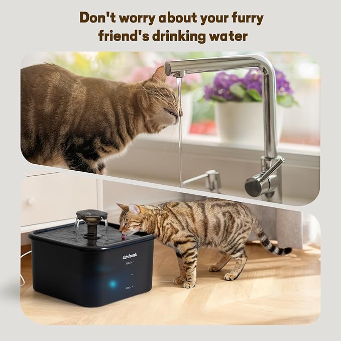 Pet Water Fountain, 74oz/2.2L Catsfoutek Water Fountain Cat for Drinking - Pet Fountain for Cats Inside - Quiet Automatic Cat Water Dispenser - Kitty Drinking Fountains - for Pets& Small Animals