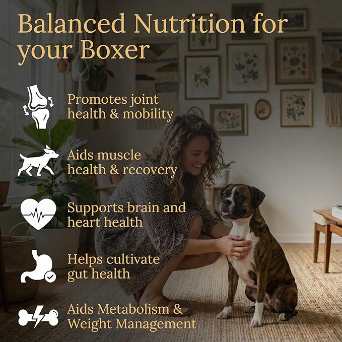 Multivitamins, Balanced Nutrition for Your Boxer, 90 Count, Made in the USA with Real Bacon