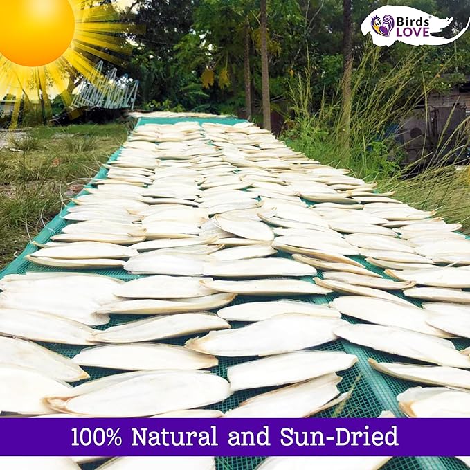 Birds LOVE 7.5-8" Cuttlebones for Birds – 100% Natural Sun-Dried Calcium Carbonate Mineral Supplement – for Parakeets, Budgies, Cockatiels, Finches & Canaries – 2 Pack with Holder – Made in Vietnam