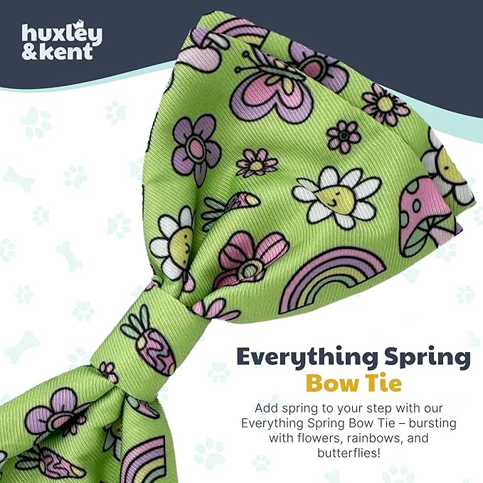 Huxley & Kent Pet Bow Tie for Dogs & Cats - Spring Theme Adjustable Hook & Loop Collar Accessory - Cute & Comfortable for Holidays & Celebrations - Everything Spring, Small