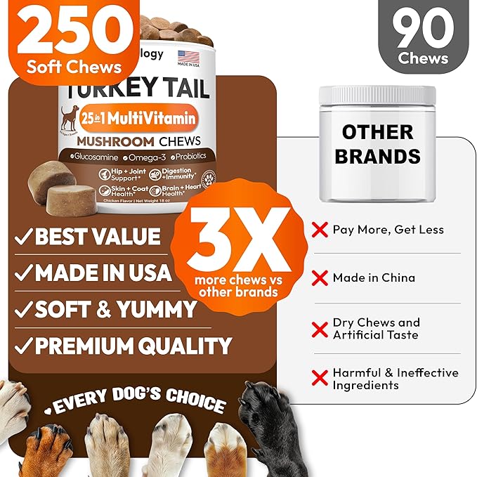 Turkey Tail Mushroom for Dogs - 250 Chews - Lion’s Mane - Shiitake - Reishi - Buddy Immune Support Guard - Lipoma Mushroom Supplement for Dogs Lumps and Bumps Glucosamine, Health Vitamins Multivitamin